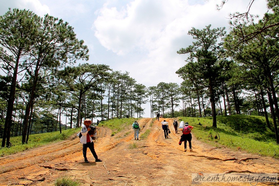 30 Trải nghiệm khó quên trên cung trekking Tà Năng Phan Dũng