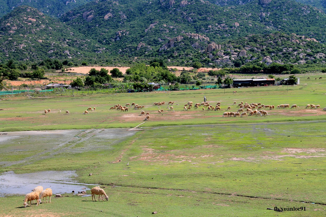 105km cung đường biển Ninh Thuận "nhìn là thích" "nhích chẳng chịu về