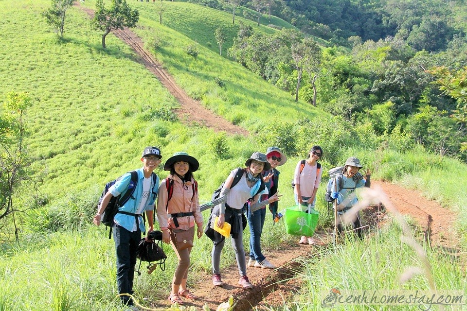 30 Trải nghiệm khó quên trên cung trekking Tà Năng Phan Dũng