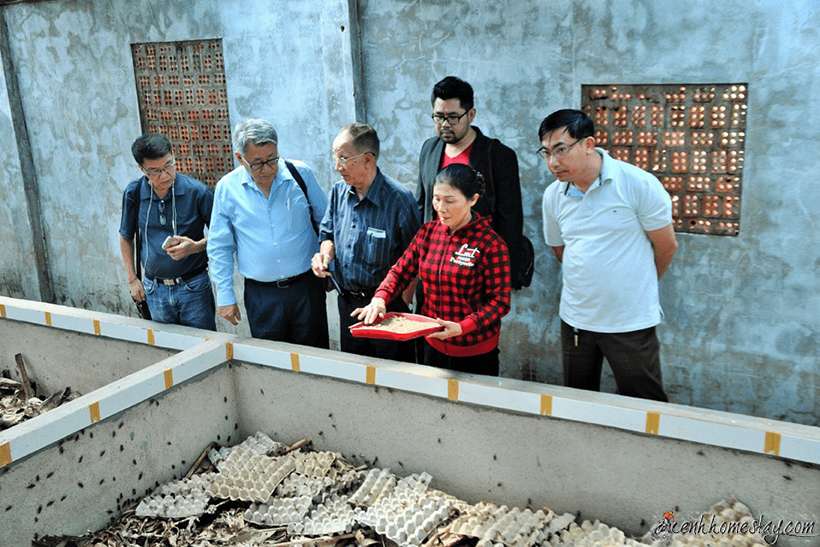 100 địa điểm du lịch Đà Lạt đẹp “chụp cháy máy”, up cả năm mới hết