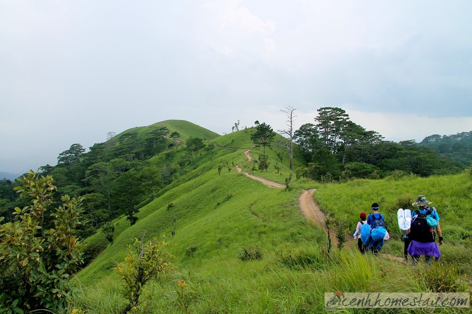 30 Trải nghiệm khó quên trên cung trekking Tà Năng Phan Dũng