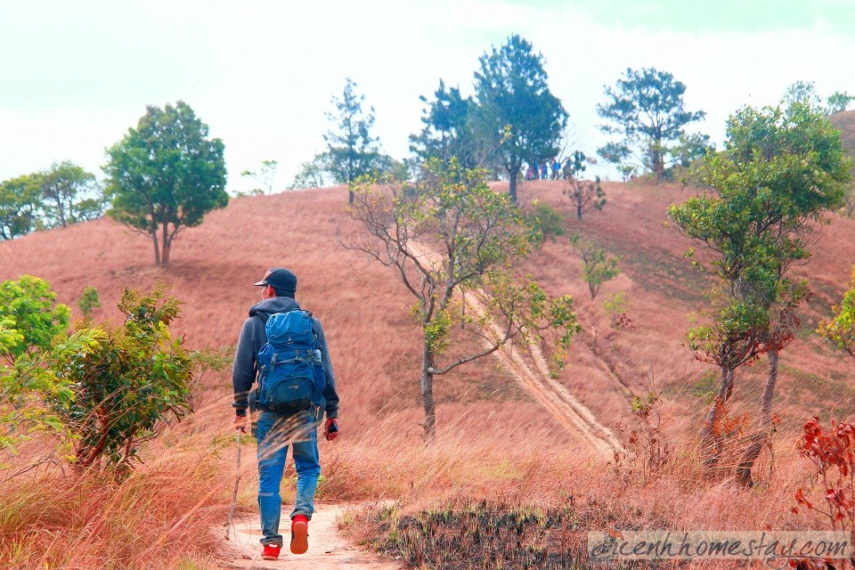 30 Trải nghiệm khó quên trên cung trekking Tà Năng Phan Dũng