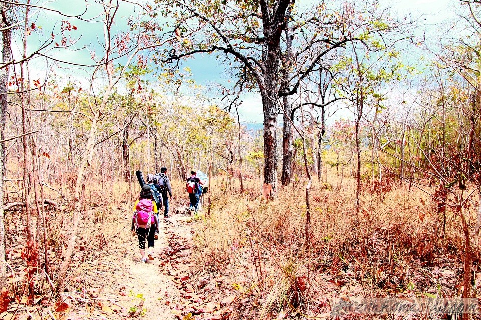 30 Trải nghiệm khó quên trên cung trekking Tà Năng Phan Dũng