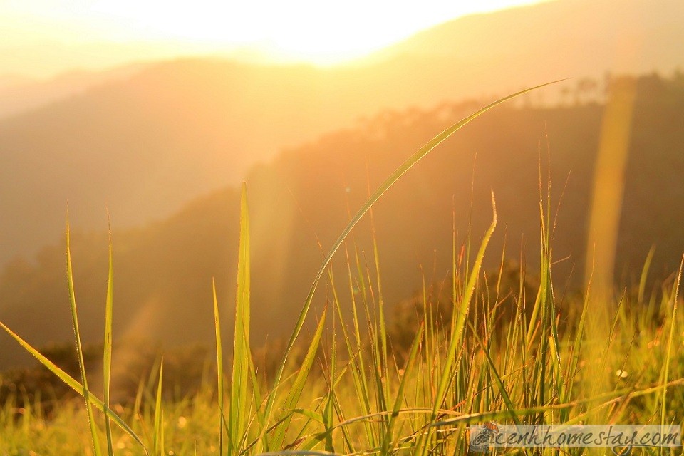 30 Trải nghiệm khó quên trên cung trekking Tà Năng Phan Dũng