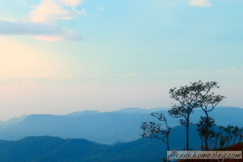 30 Trải nghiệm khó quên trên cung trekking Tà Năng Phan Dũng