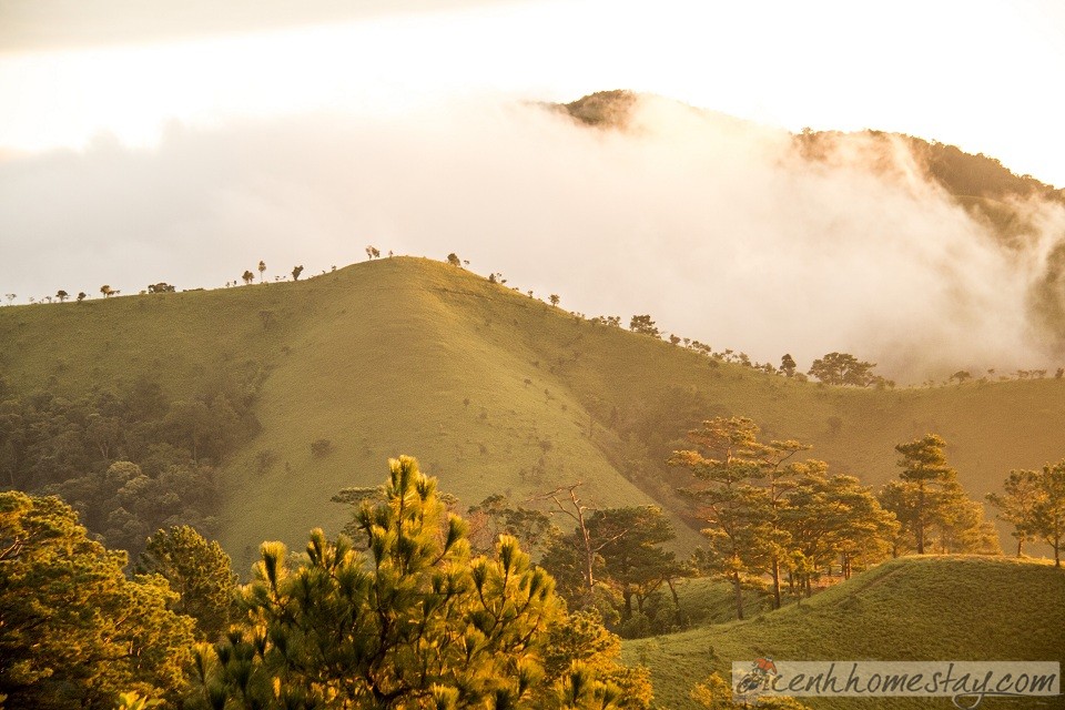 30 Trải nghiệm khó quên trên cung trekking Tà Năng Phan Dũng