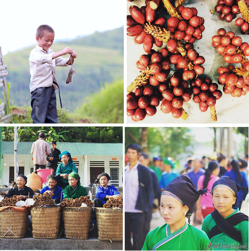 "Lặng người say mê" khoảnh khắc mùa vàng Hoàng Su Phì tuyệt đẹp