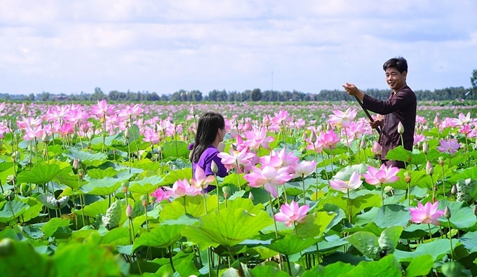 Lên lịch sẵn cho kế hoạch ''săn hoa'' khắp 12 tháng trong năm