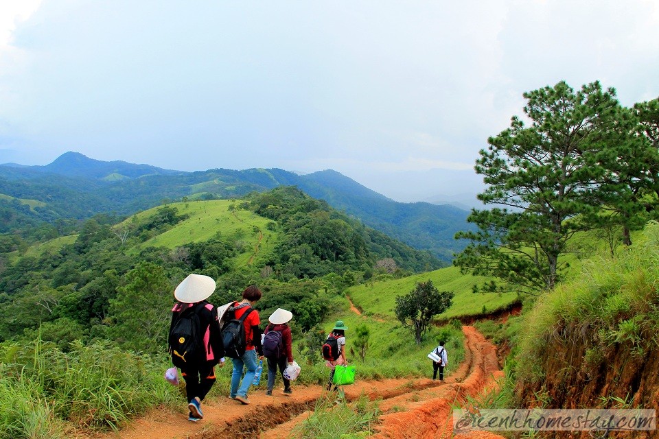 30 Trải nghiệm khó quên trên cung trekking Tà Năng Phan Dũng