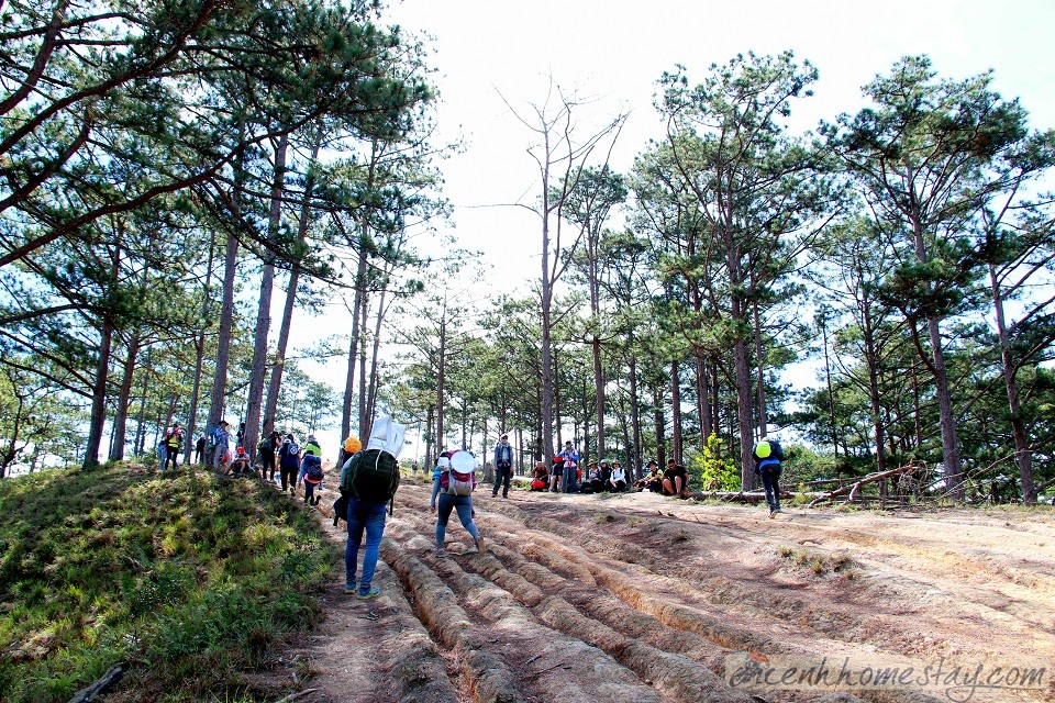 30 Trải nghiệm khó quên trên cung trekking Tà Năng Phan Dũng