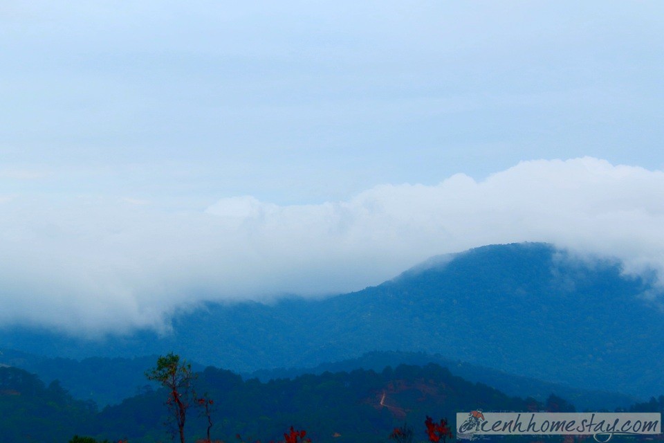 30 Trải nghiệm khó quên trên cung trekking Tà Năng Phan Dũng