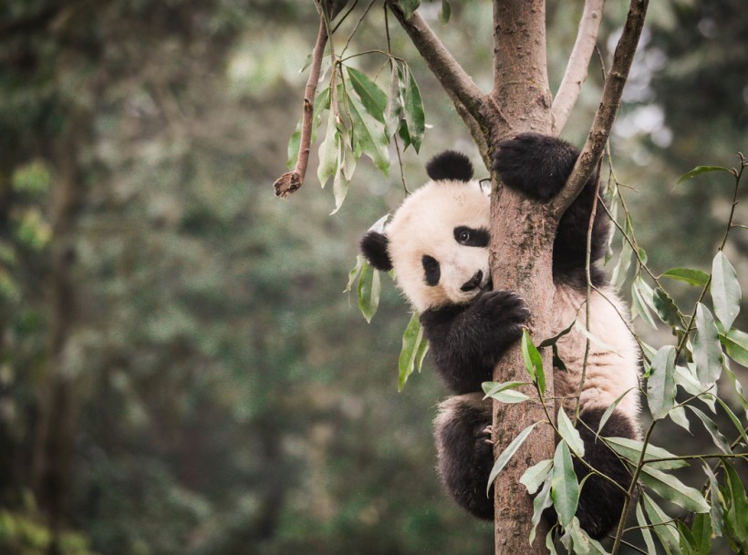 Địa điểm du lịch Thành Đô