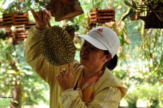 53 điểm du lịch Ninh Thuận, Phan Rang nổi tiếng nhất định phải đi một lần