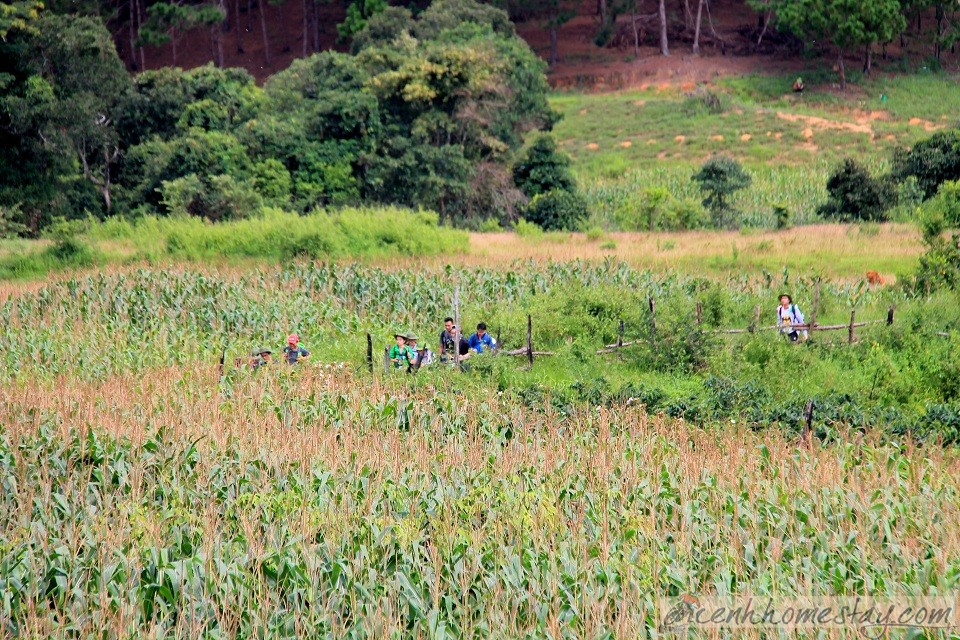 30 Trải nghiệm khó quên trên cung trekking Tà Năng Phan Dũng