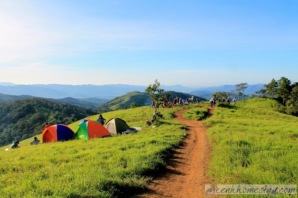 30 Trải nghiệm khó quên trên cung trekking Tà Năng Phan Dũng