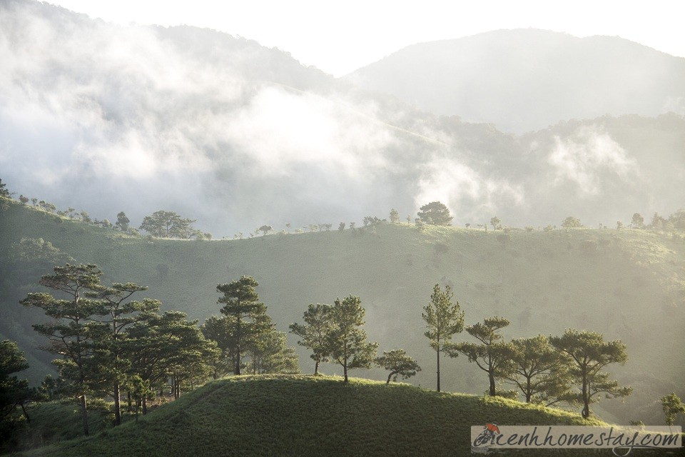 30 Trải nghiệm khó quên trên cung trekking Tà Năng Phan Dũng