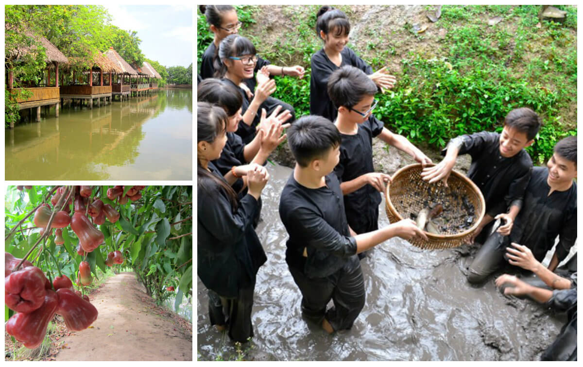 Kinh nghiệm đi Cù Lao An Bình - vùng đất “ngủ quên” ở Vĩnh Long