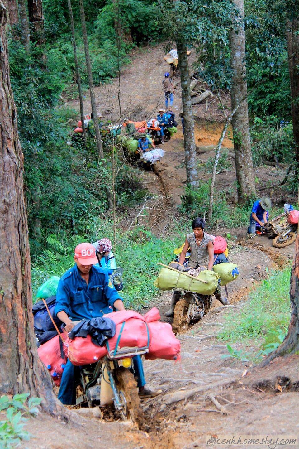 30 Trải nghiệm khó quên trên cung trekking Tà Năng Phan Dũng