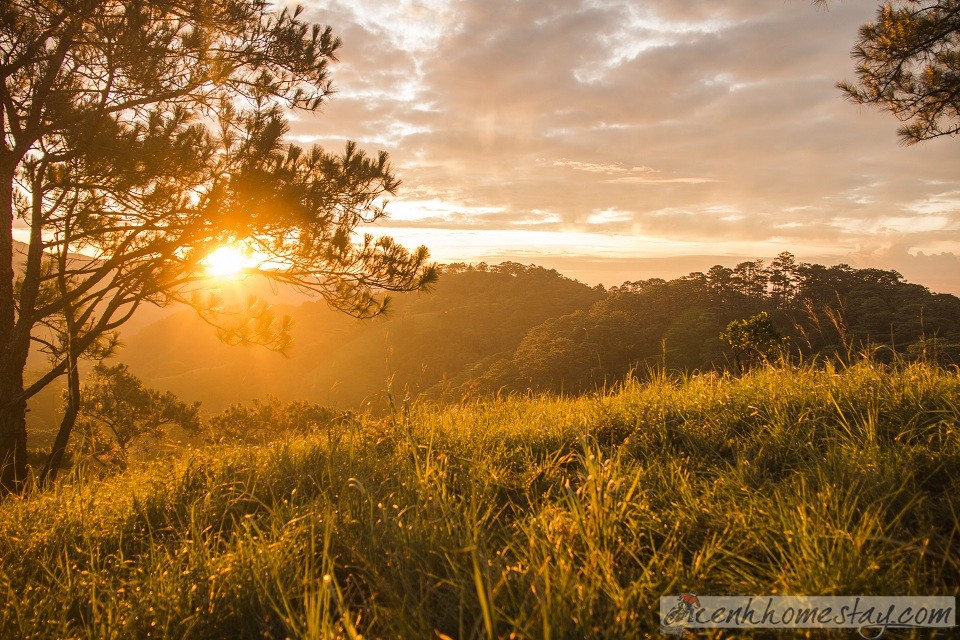 30 Trải nghiệm khó quên trên cung trekking Tà Năng Phan Dũng