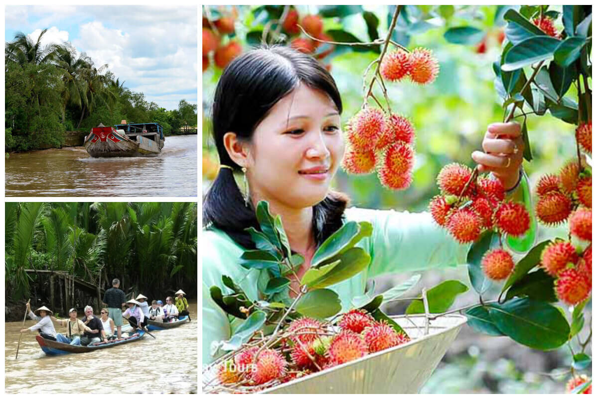 Kinh nghiệm đi Cù Lao An Bình - vùng đất “ngủ quên” ở Vĩnh Long