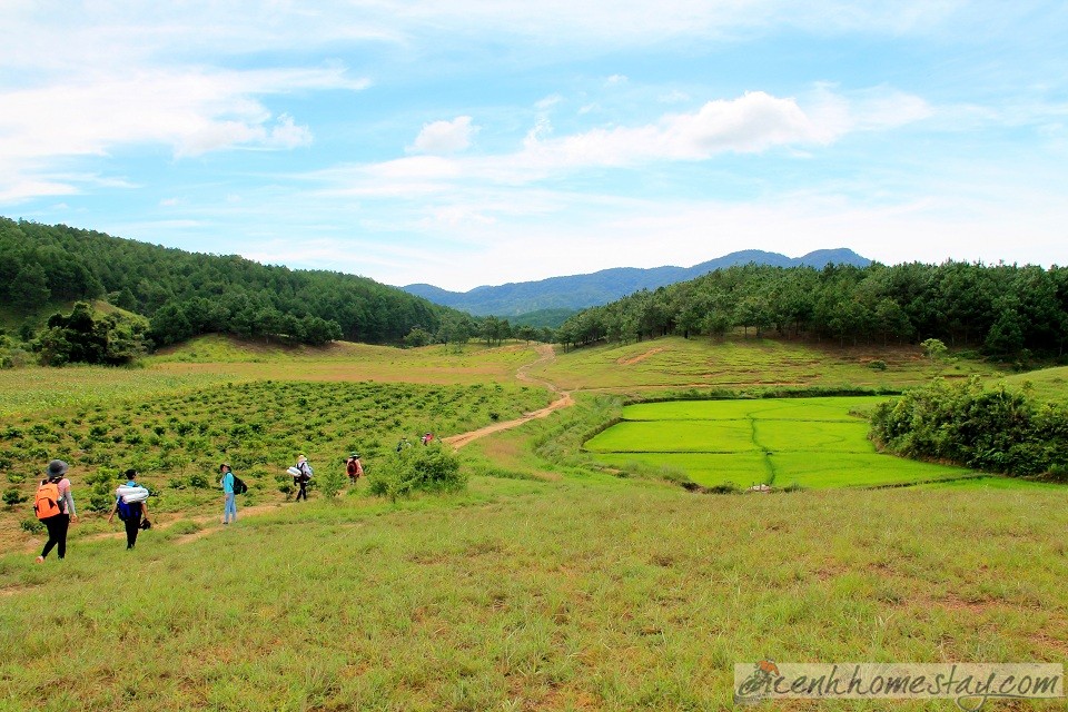 30 Trải nghiệm khó quên trên cung trekking Tà Năng Phan Dũng