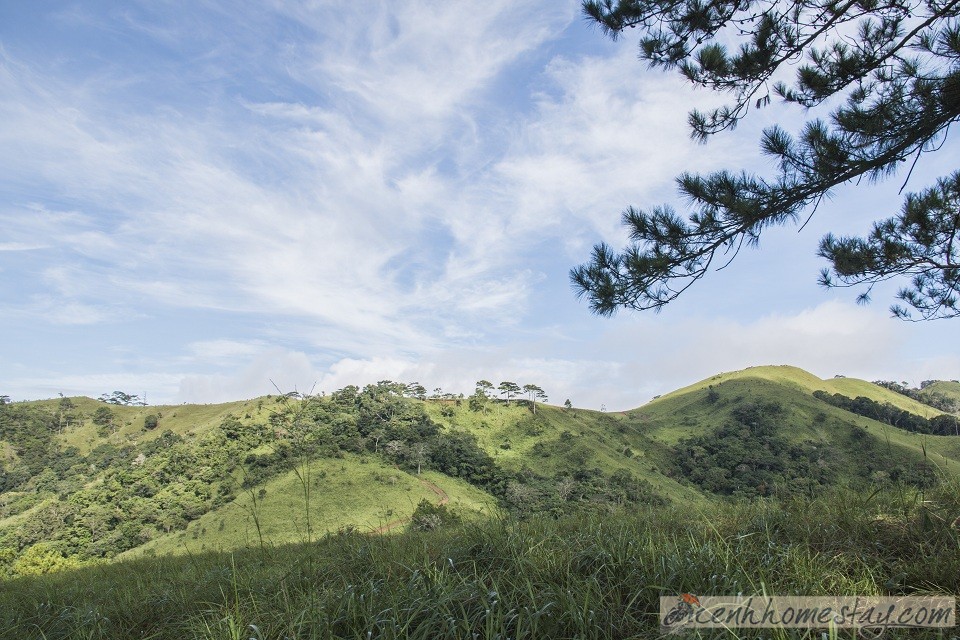 30 Trải nghiệm khó quên trên cung trekking Tà Năng Phan Dũng