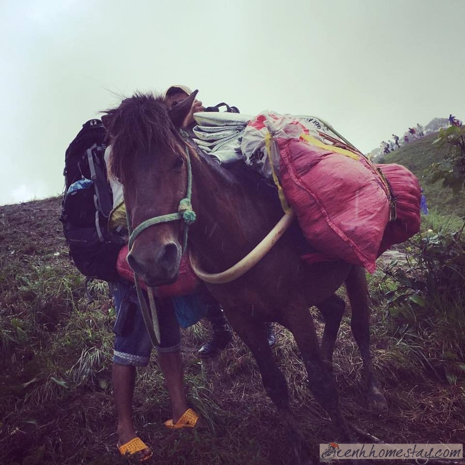 30 Trải nghiệm khó quên trên cung trekking Tà Năng Phan Dũng