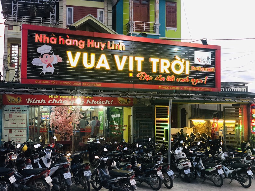 Khám phá 40 món vịt trời Nhà hàng Huy Linh Vua Vịt Trời ngon số 1 ở Cao Bằng