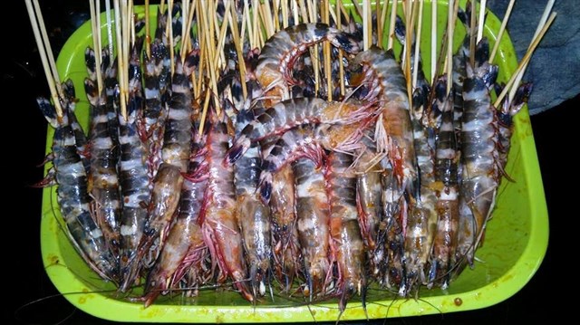 bien suoi o o vung tau