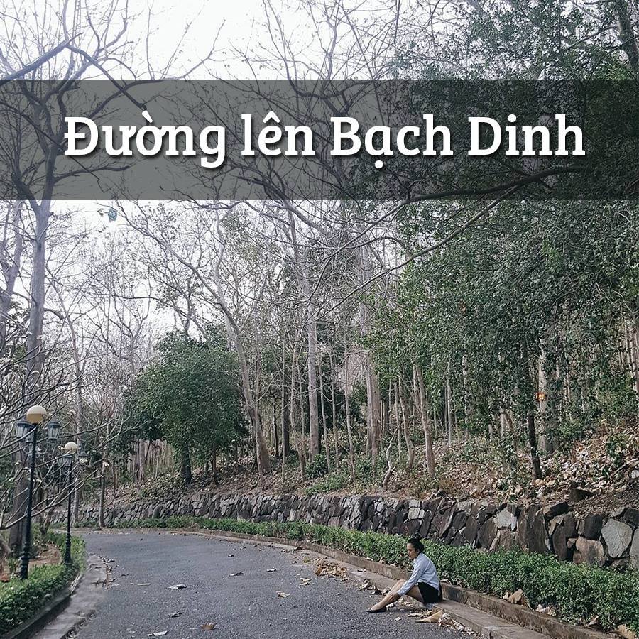 gia ve tham quan bach dinh vung tau