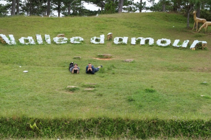 bang gia ve tham quan thung lung tinh yeu da lat