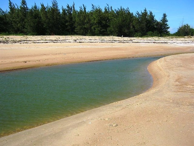 nhung bai bien dep o vung tau