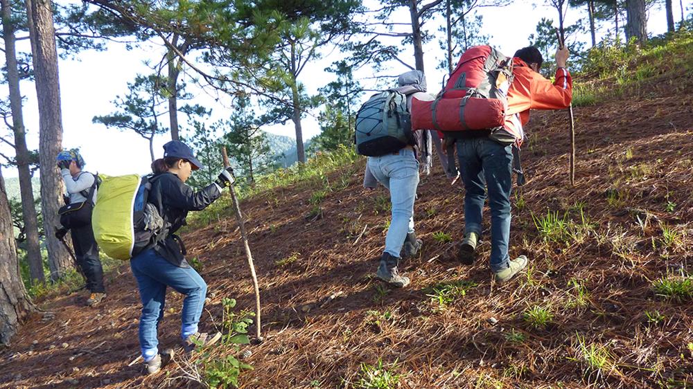 gia ve tham quan langbiang da lat