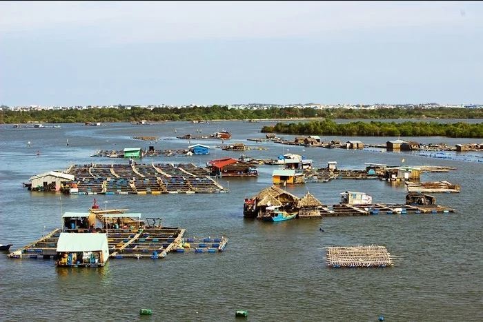 ben du thuyen marina o vung tau