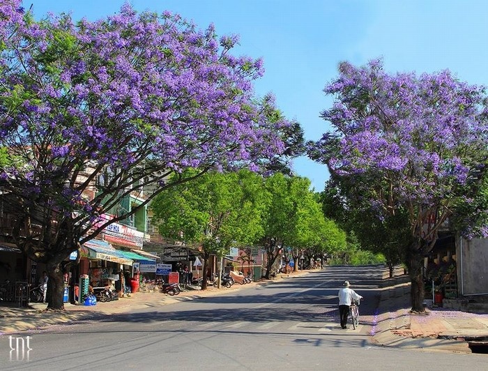 nhung kinh nghiem du lich bui da lat 3 ngay 2 dem