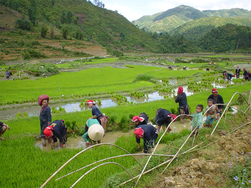 nhung ban lang dep o sapa