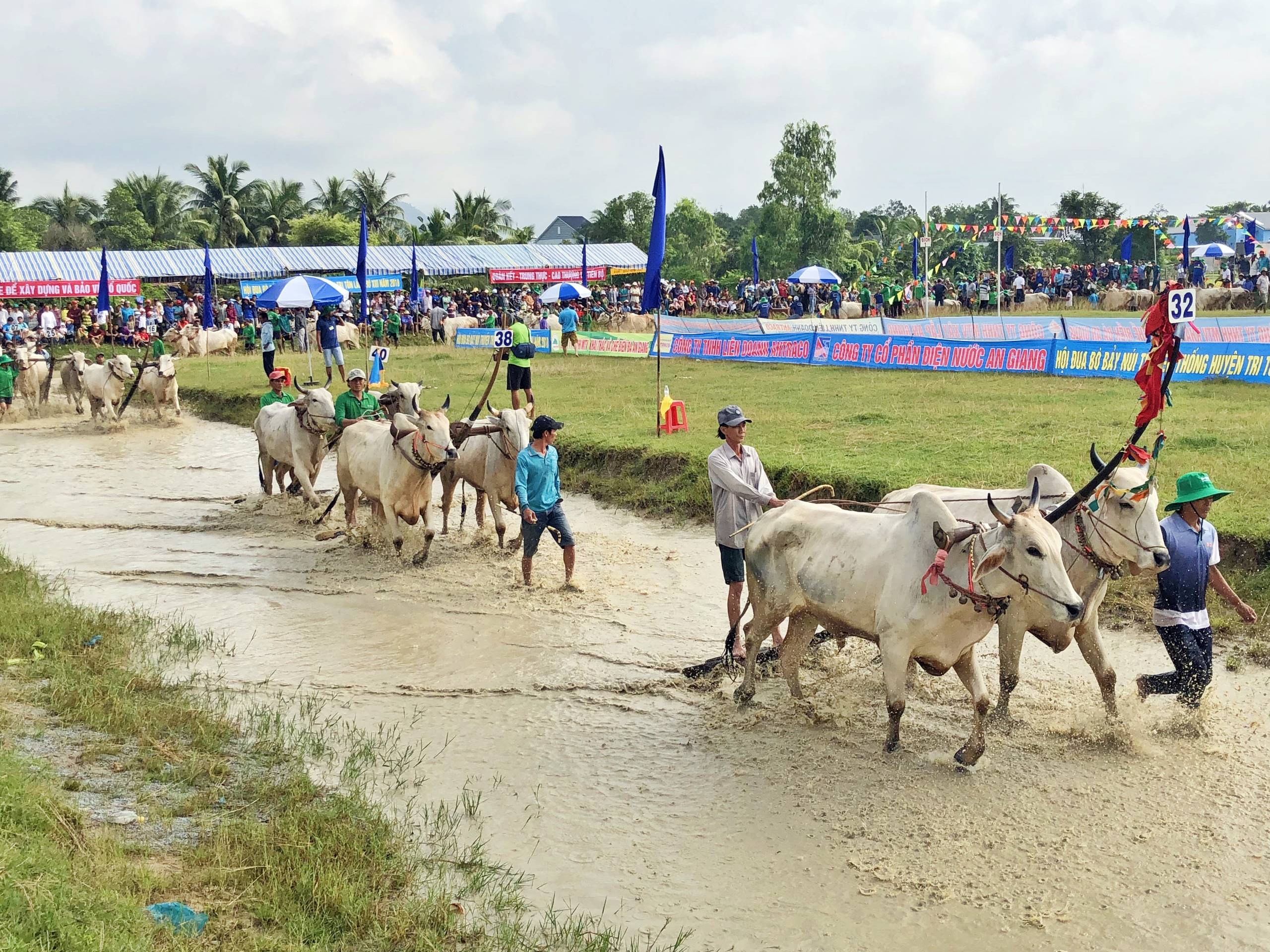 le hoi dua bo bay nui o an giang