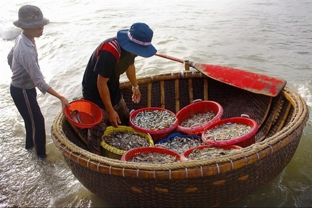 huong dan duong di bien suoi o