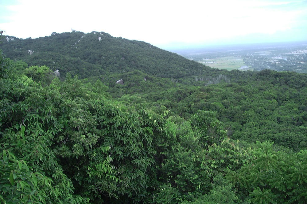 Đường lên núi Minh Đạm