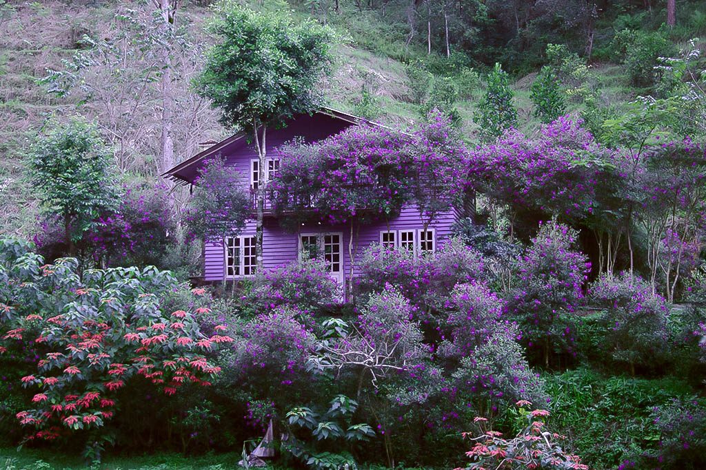 huong dan duong di den ma rung lu quan o da lat