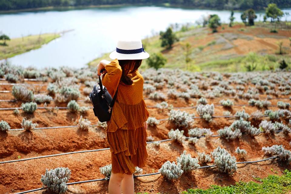 kinh nghiem di da lat bang may bay