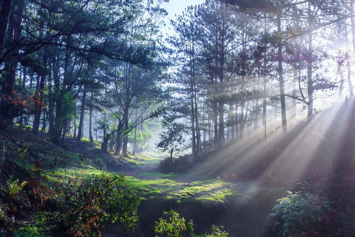 kinh nghiem du lich da lat thang 10