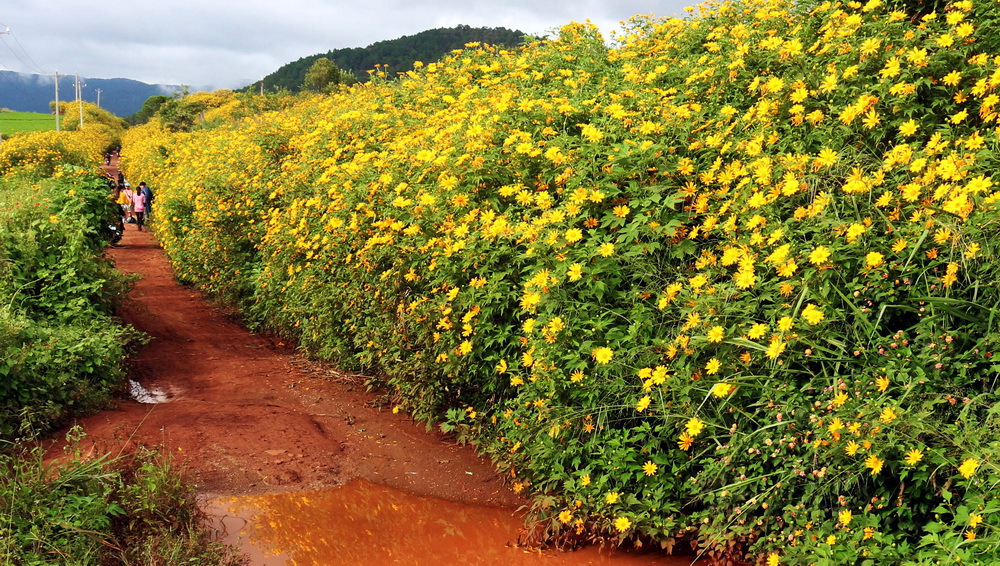 nhung kinh nghiem du lich bui da lat 3 ngay 2 dem