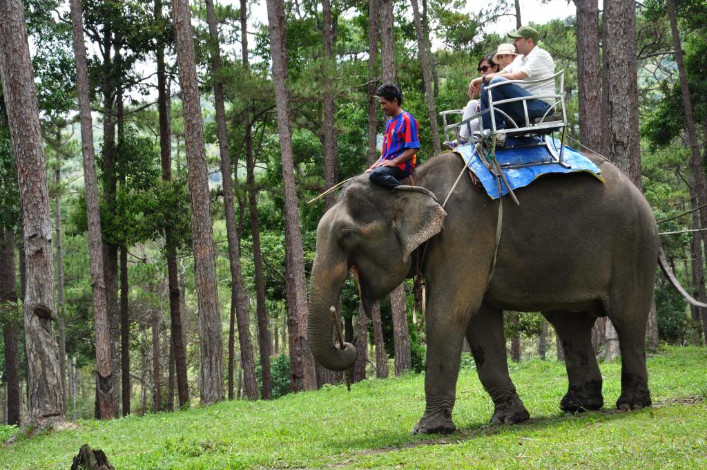 nhung su tich ve thung lung tinh yeu o da lat