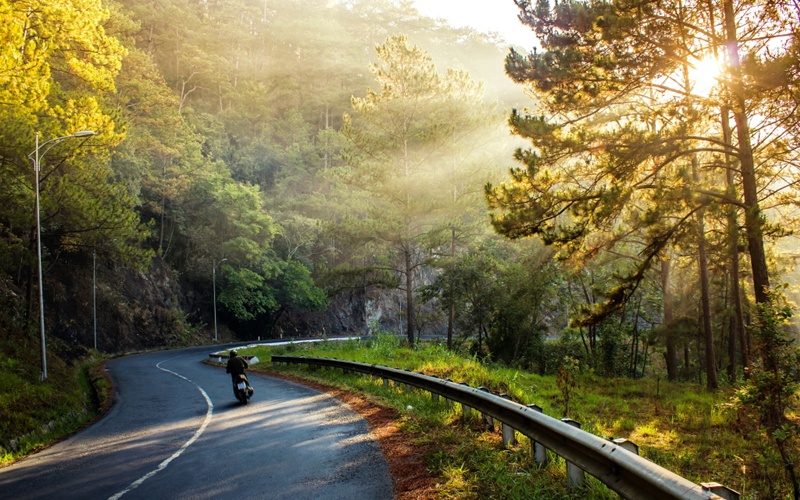 kinh nghiem du lich da lat cuoi tuan