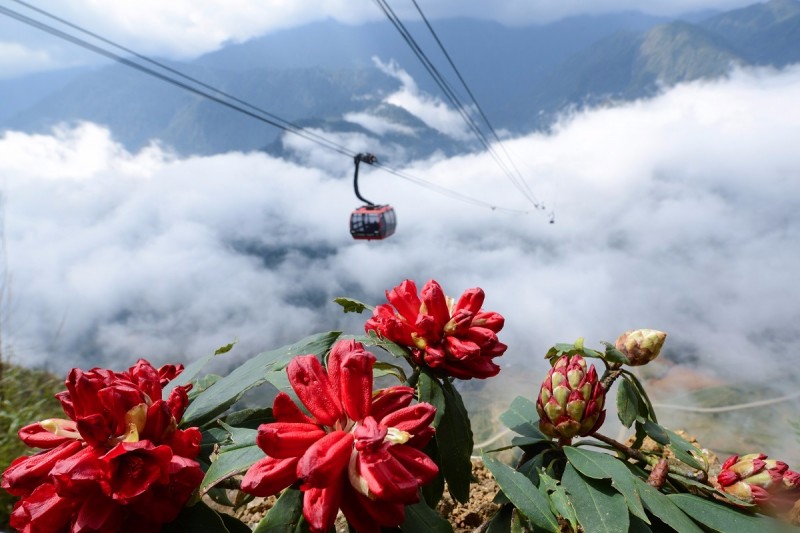 kinh nghiem di du lich dinh fansipan noc nha dong duong