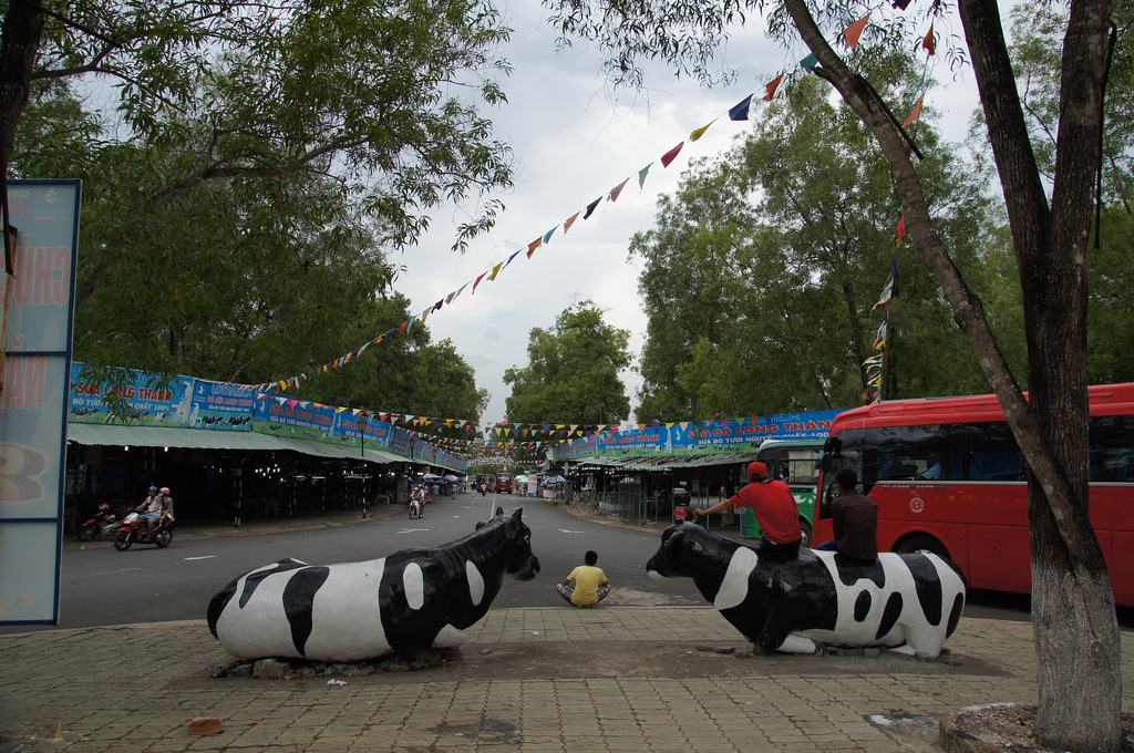 kinh nghiem di du lich phuot vung tau