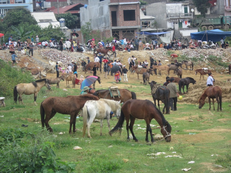 nhung kinh nghiem di cho bac ha