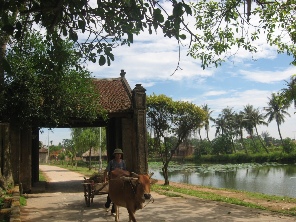 dia chi lang co duong lam nam o dau