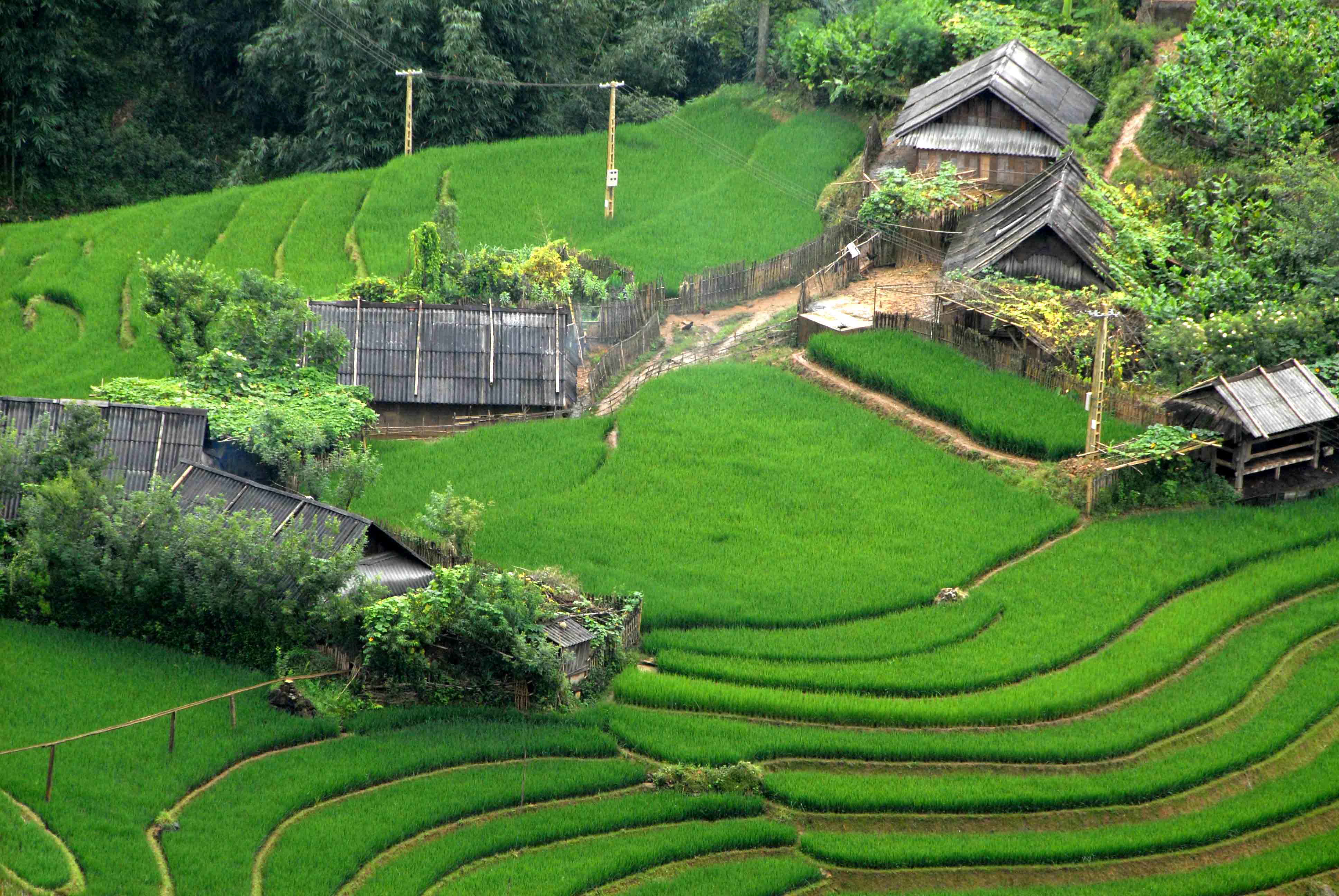 du lich sapa nen di bang phuong tien gi